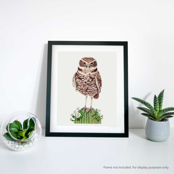 Burrowing Owl - Image 2
